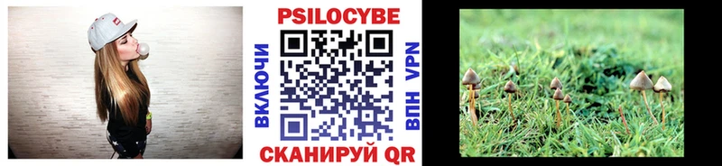 Купить где  Змеиногорск  Галлюциногенные грибы Cubensis 